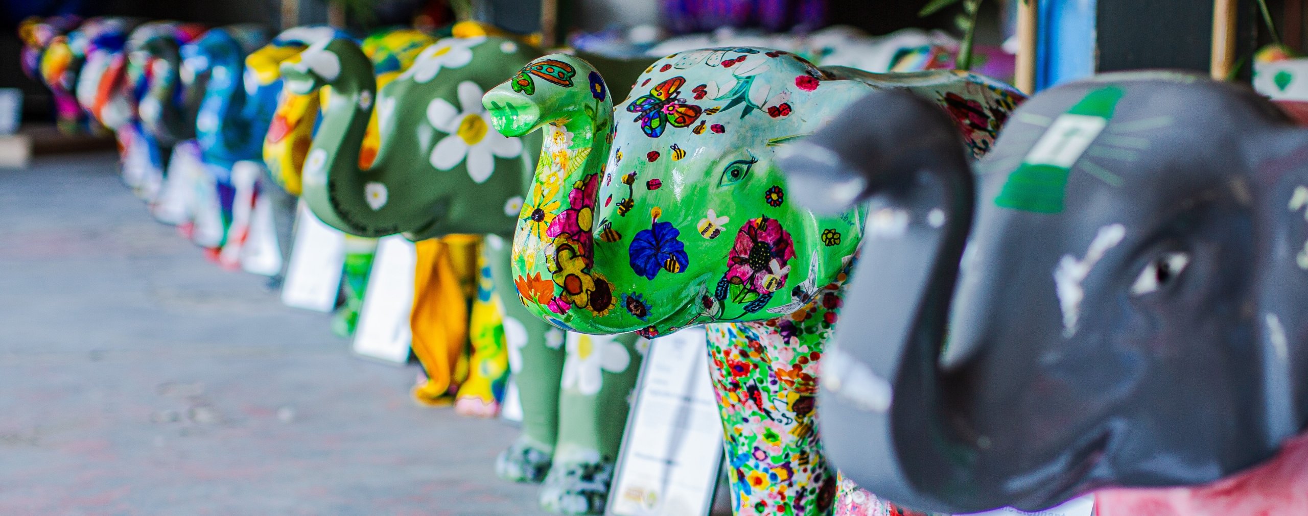 Photography of Stomp Round Leicester mini elephants lined-up.