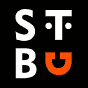 Stocks Taylor Benson animated logo, wink and blink